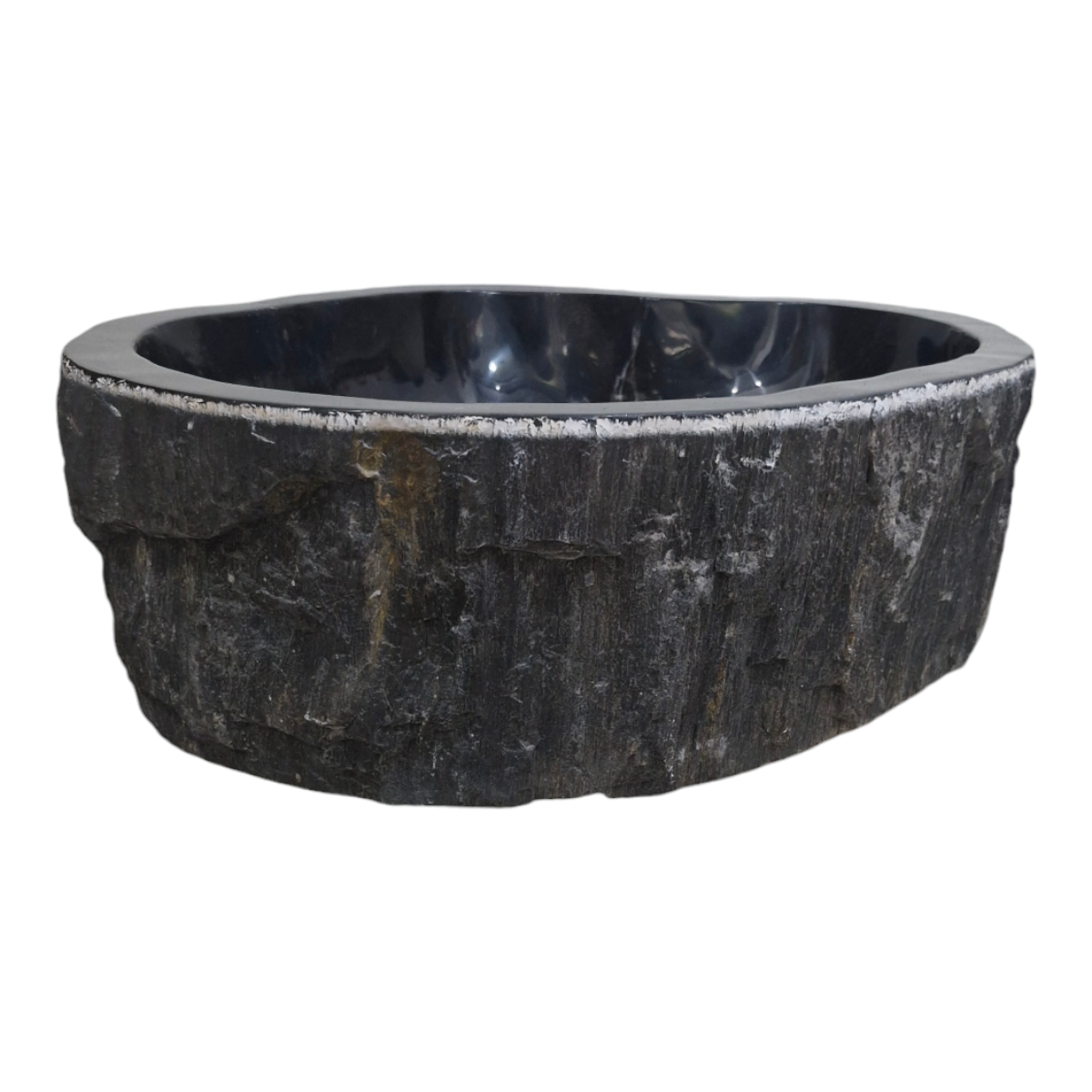 Cuba Fosilizada Madera Petrificada Piedra Natural Importada