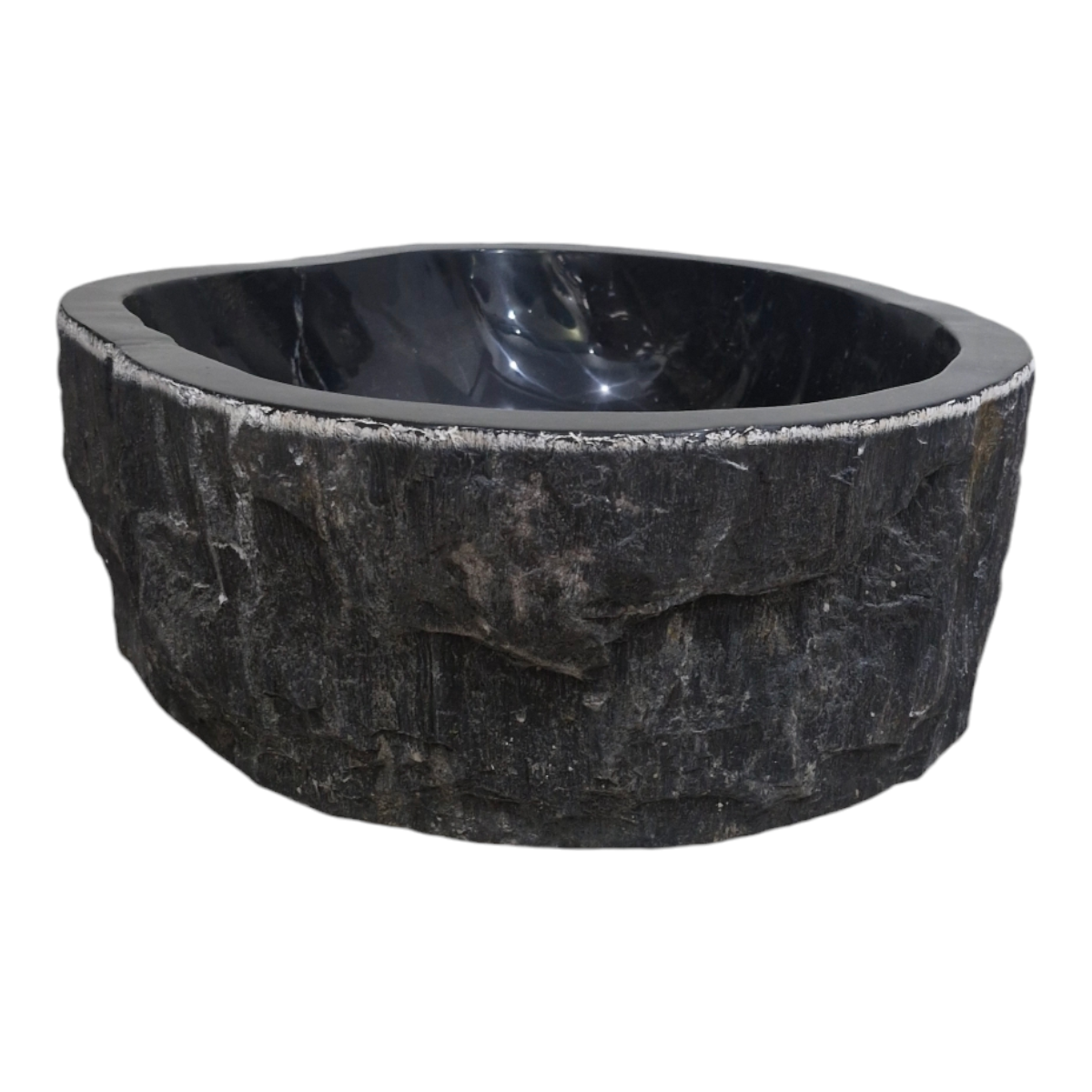 Cuba Fosilizada Madera Petrificada Piedra Natural Importada