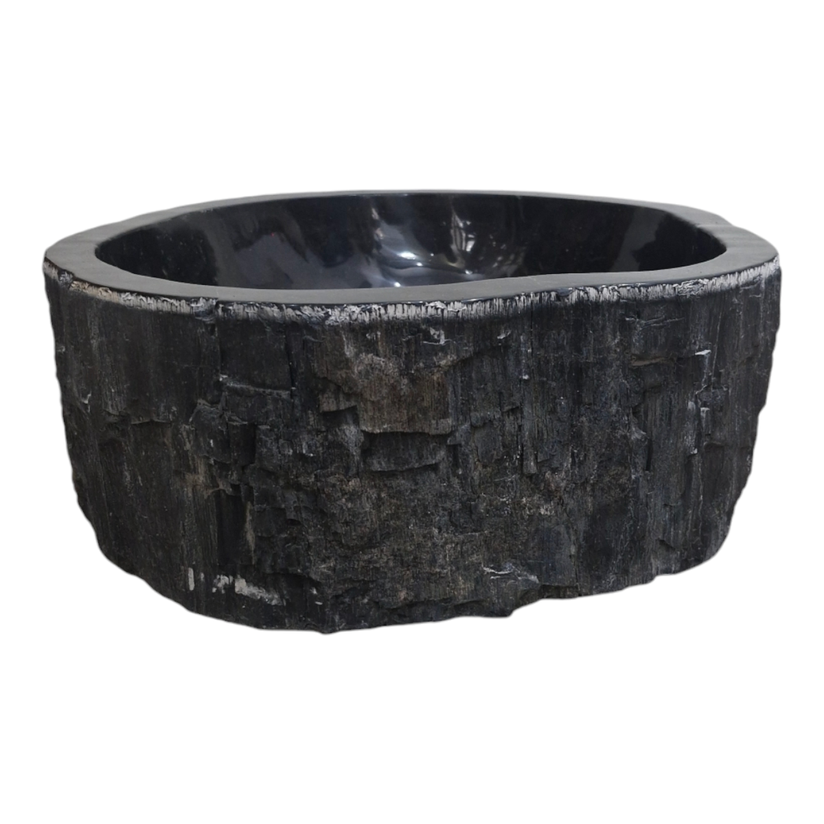 Cuba Fosilizada Madera Petrificada Piedra Natural Importada