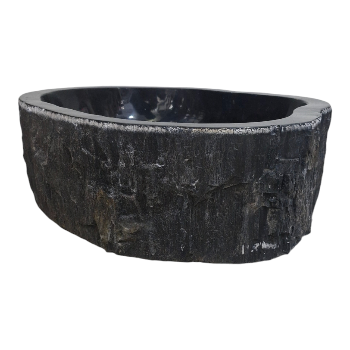 Cuba Fosilizada Madera Petrificada Piedra Natural Importada
