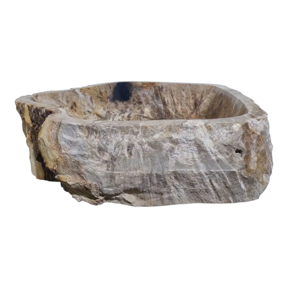 Cuba Fossilizada Madeira Petrificada Pedra Natural Importada #265