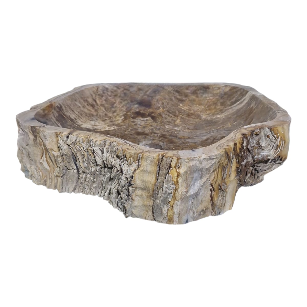 Cuba Fossilizada Madeira Petrificada Pedra Natural Importada #265