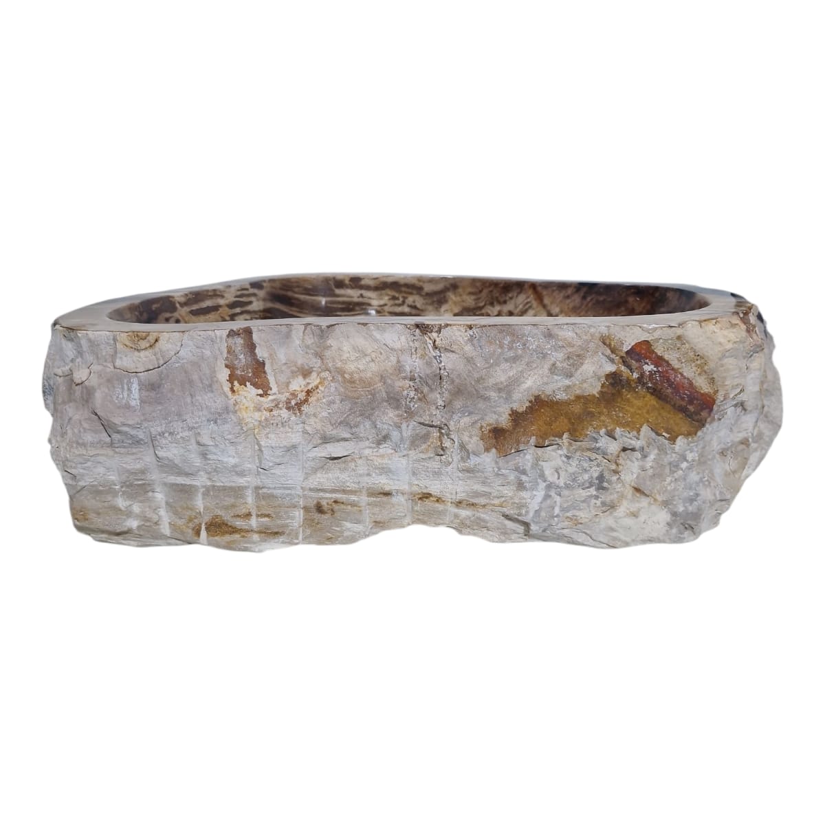 Cuba Fossilizada Madeira Petrificada Pedra Natural Importada #275