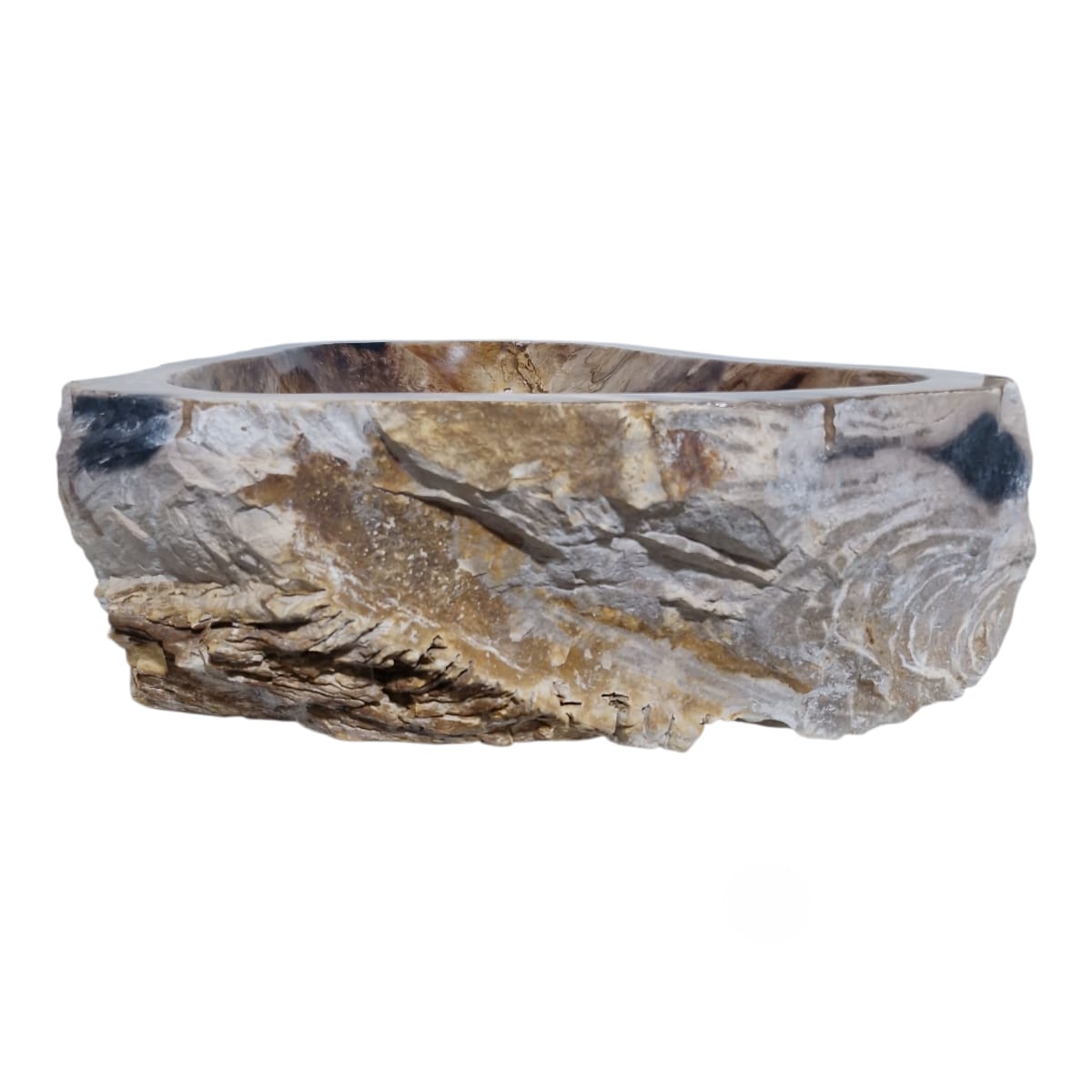 Cuba Fossilizada Madeira Petrificada Pedra Natural Importada #275