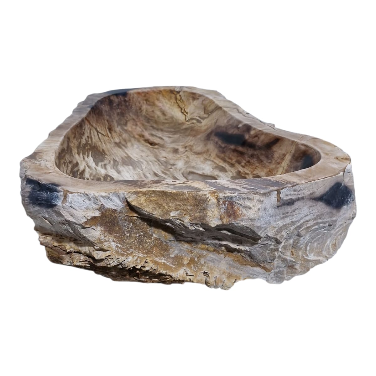 Cuba Fossilizada Madeira Petrificada Pedra Natural Importada #275