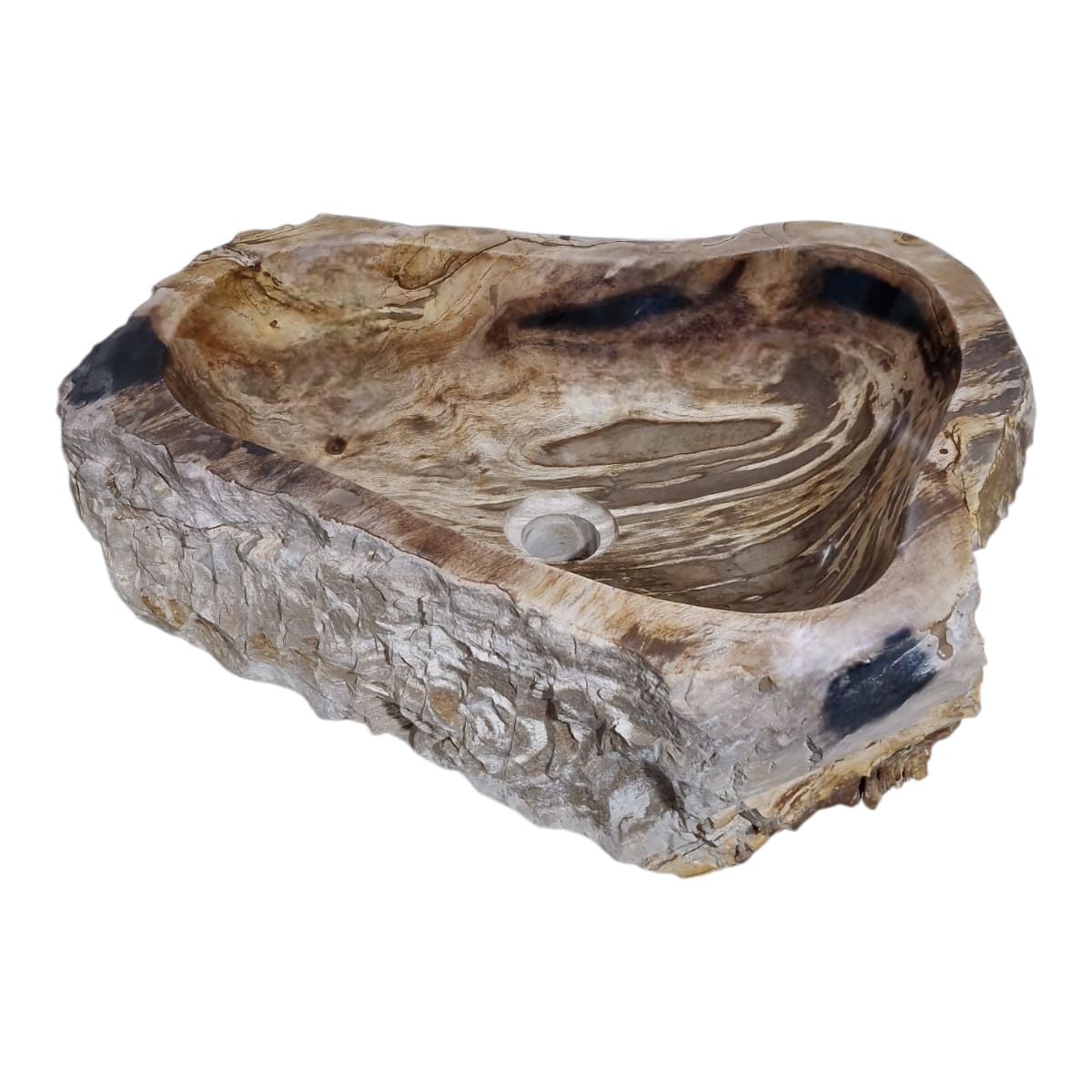 Cuba Fossilizada Madeira Petrificada Pedra Natural Importada #275