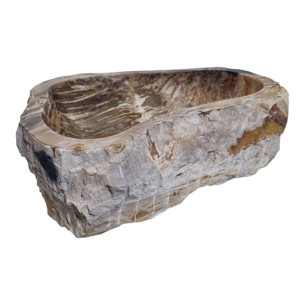 Cuba Fossilizada Madeira Petrificada Pedra Natural Importada #275