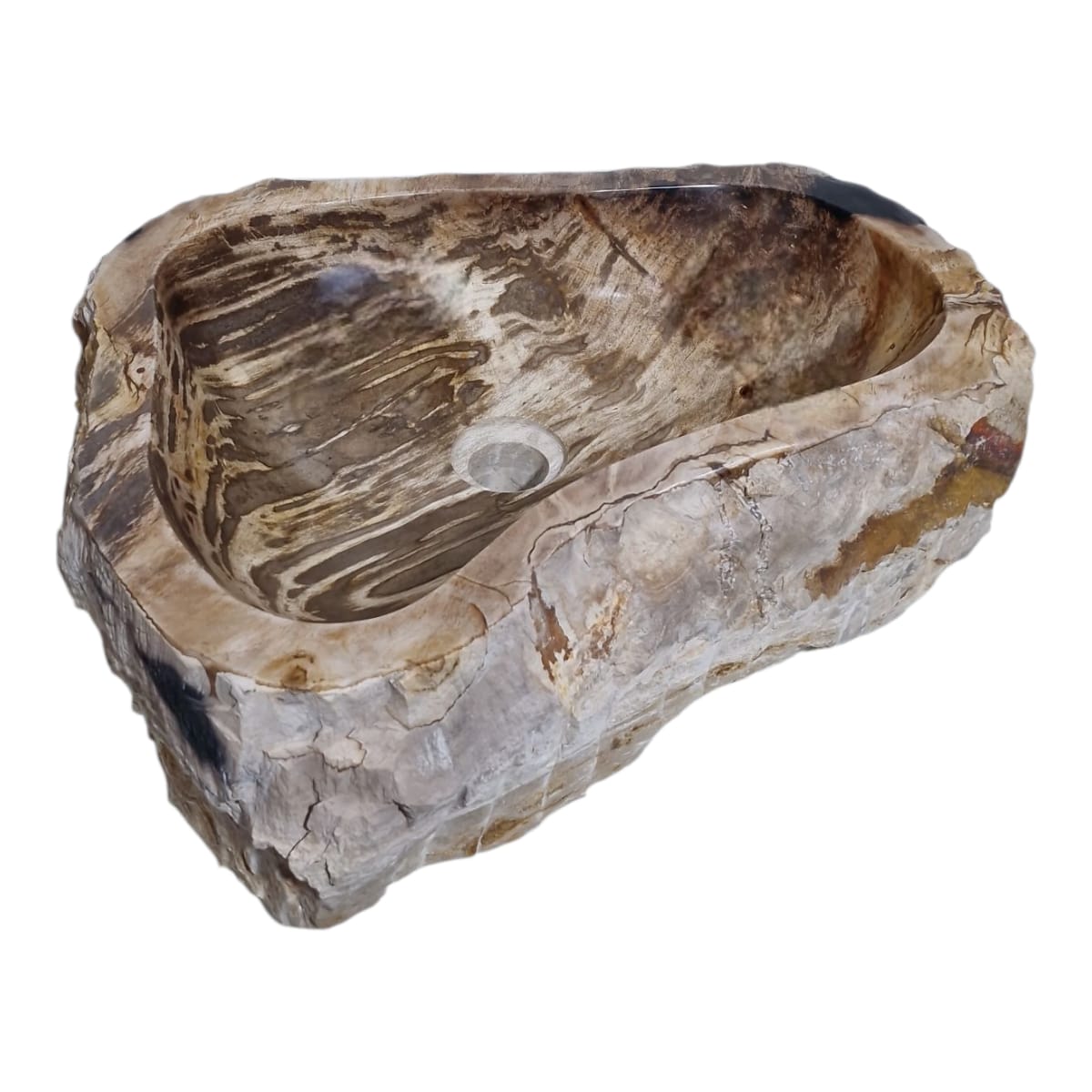 Cuba Fossilizada Madeira Petrificada Pedra Natural Importada #275