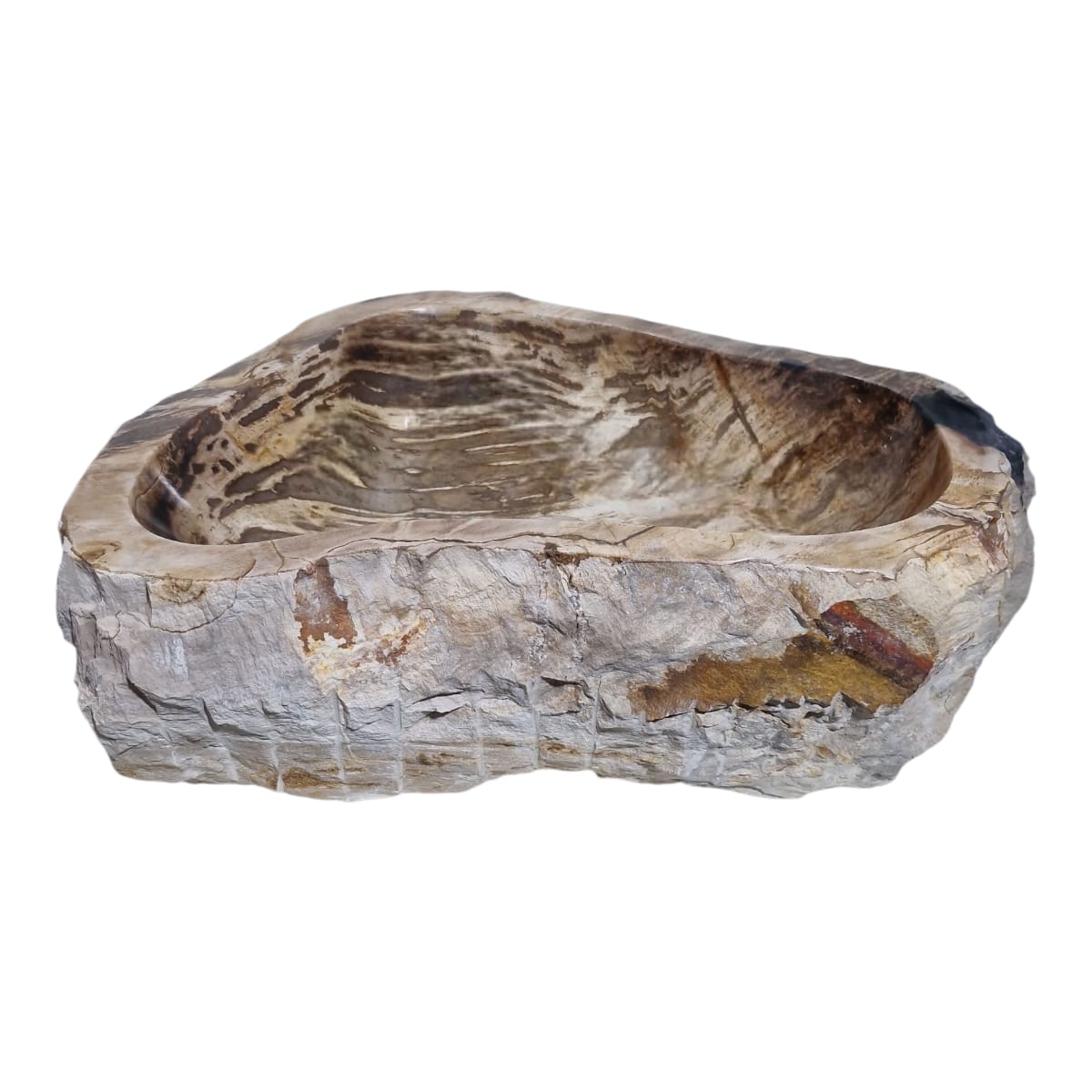 Cuba Fossilizada Madeira Petrificada Pedra Natural Importada #275