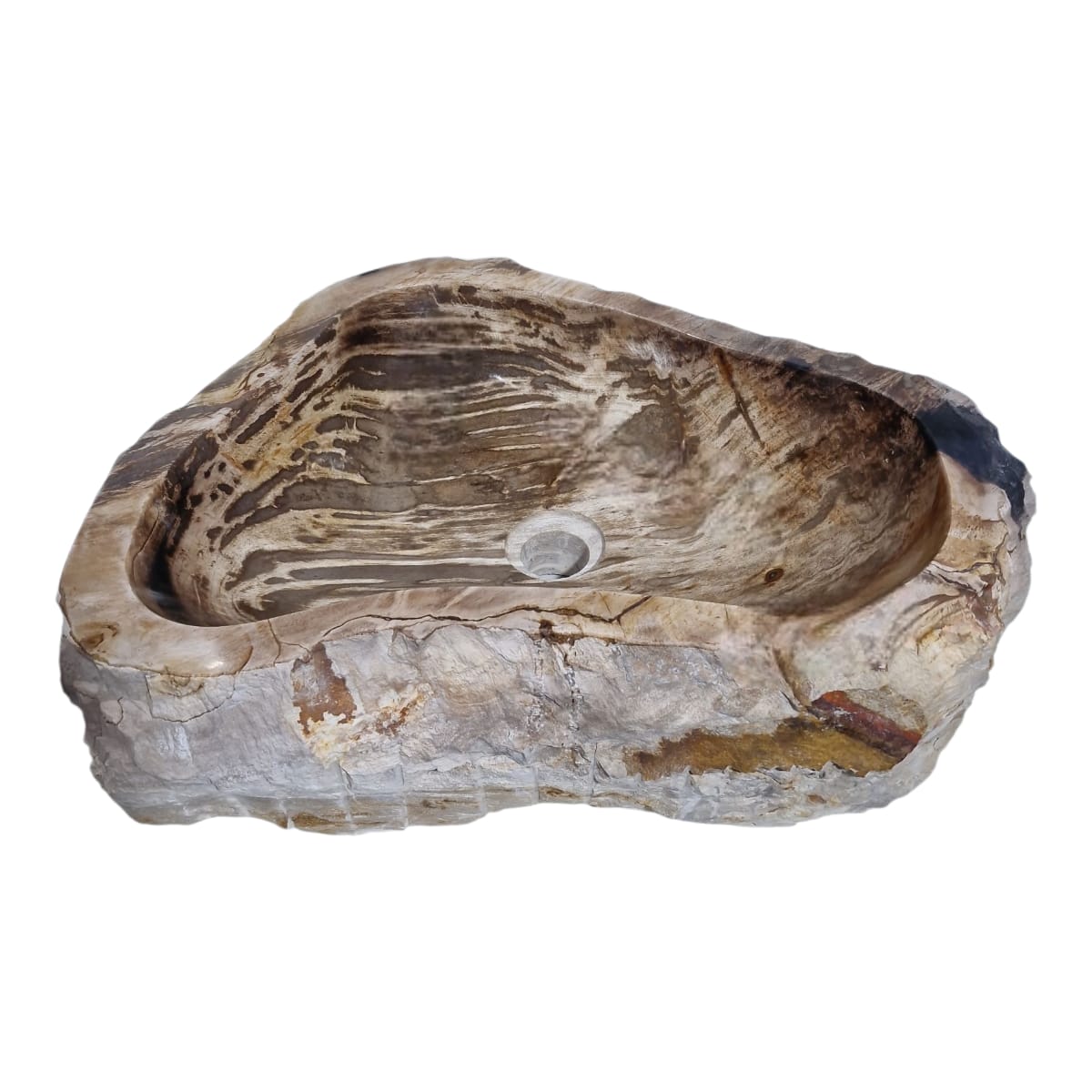 Cuba Fossilizada Madeira Petrificada Pedra Natural Importada #275