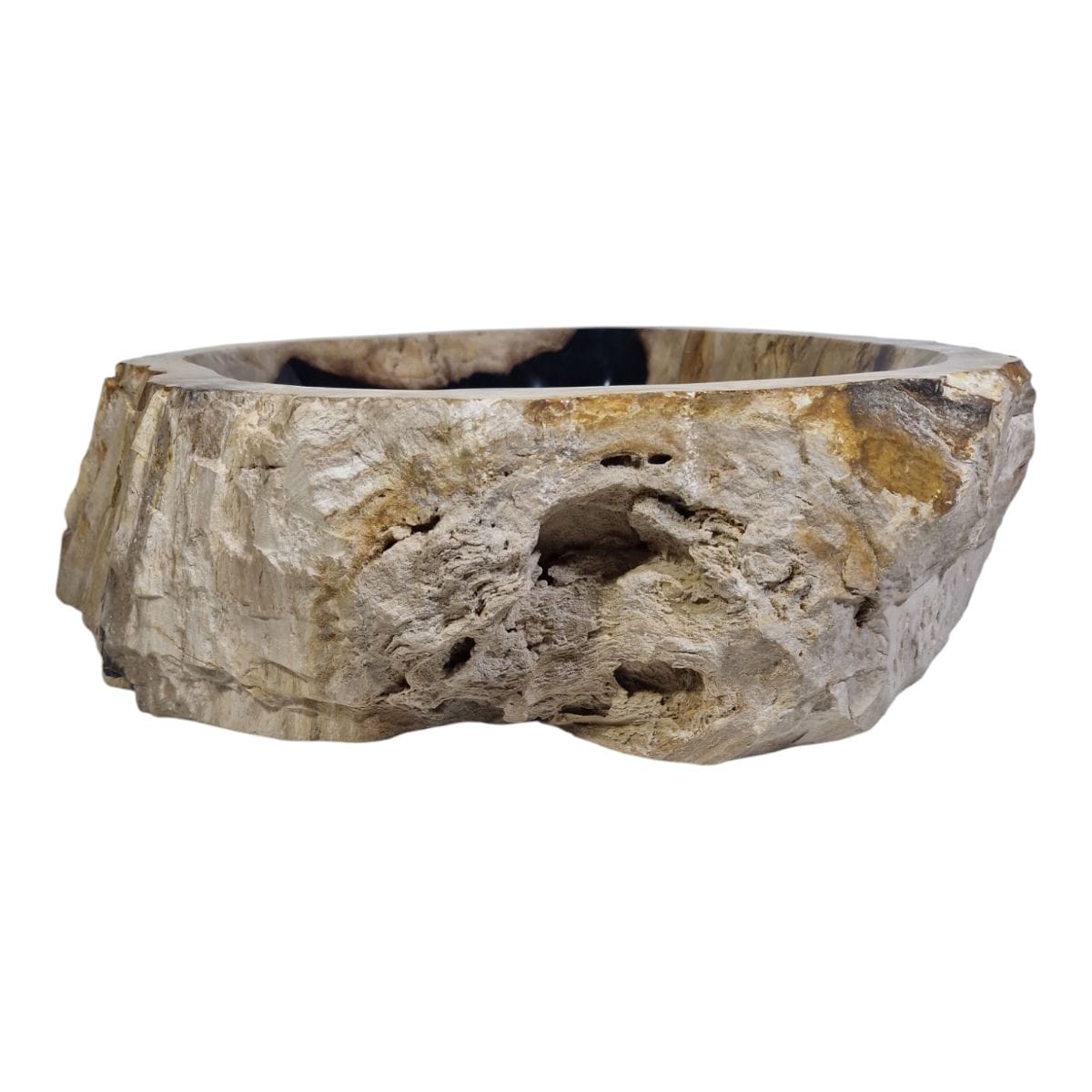 Cuba Fossilizada Madeira Petrificada Pedra Natural Importada #001