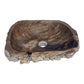 Cuba Madeira Fossilizada Petrificada Pedra Natural Importada #002