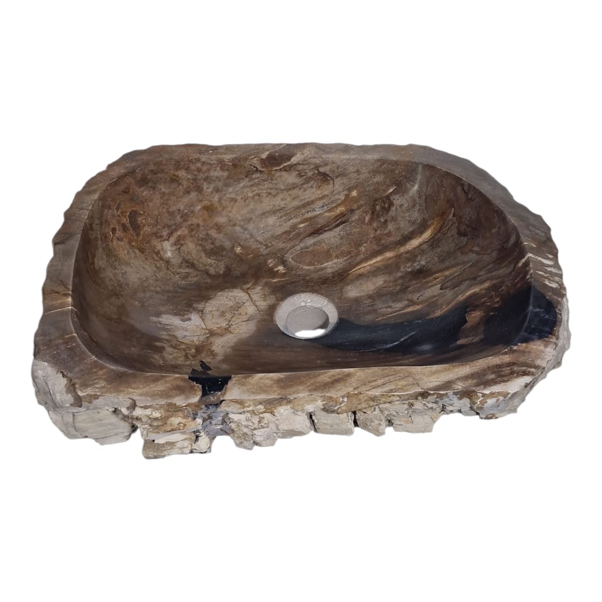 Cuba Madeira Fossilizada Petrificada Pedra Natural Importada #002