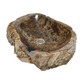 Cuba Madeira Petrificada Pedra Natural Importada Indonésia