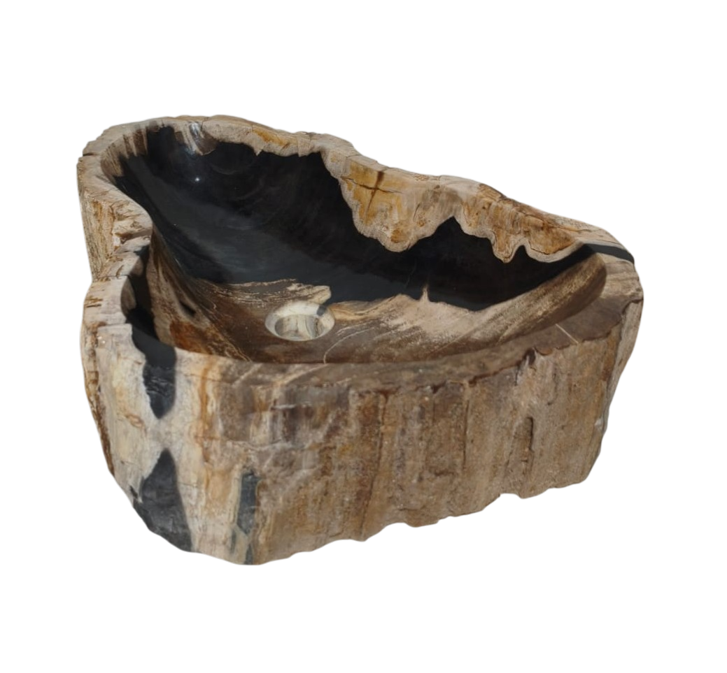Cuba Sobrepor Apoio Pedra Natural Madeira Petrificada
