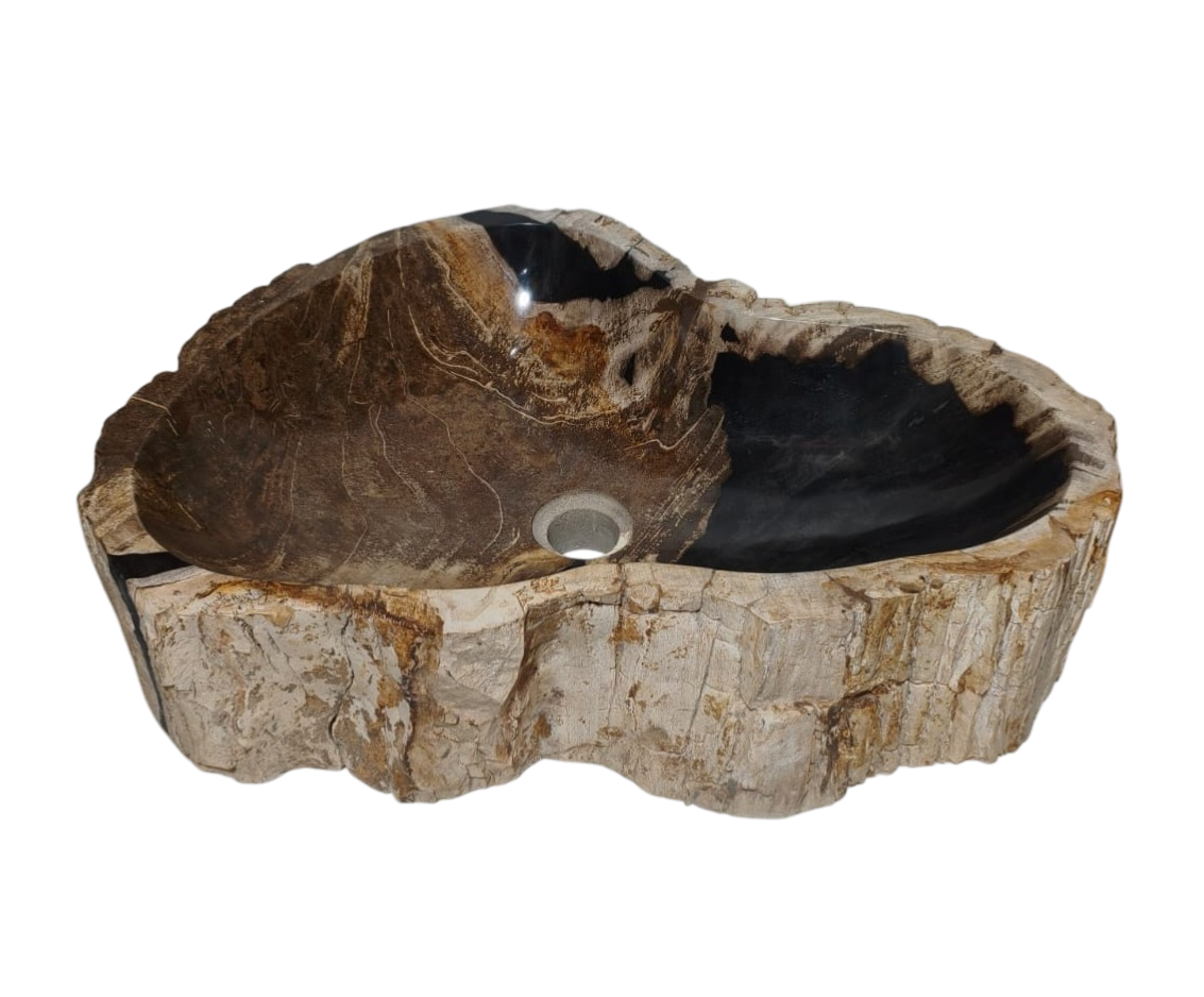 Cuba Sobrepor Apoio Pedra Natural Madeira Petrificada
