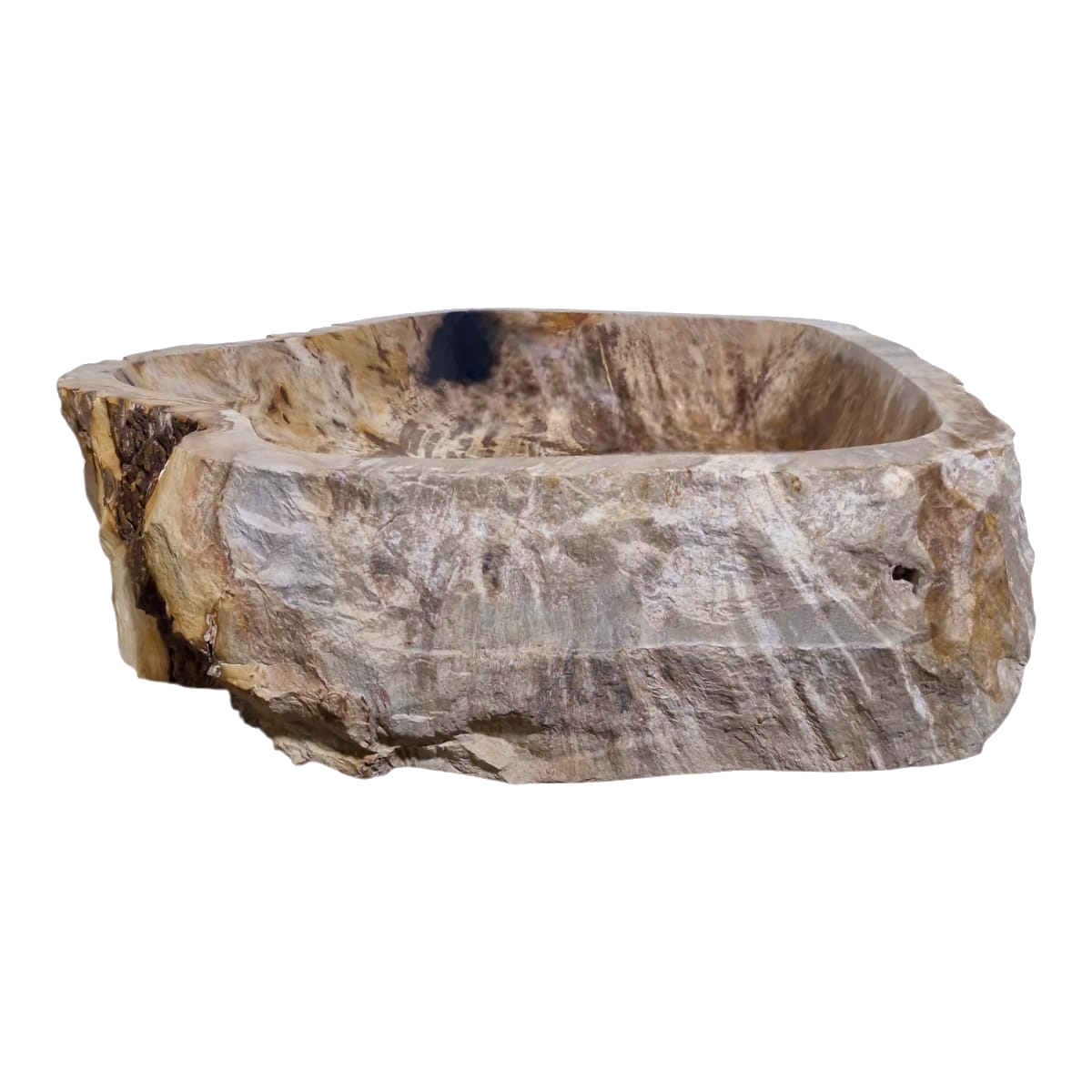 Cuba Apoio Sobrepor Pedra Natural Madeira Petrificada