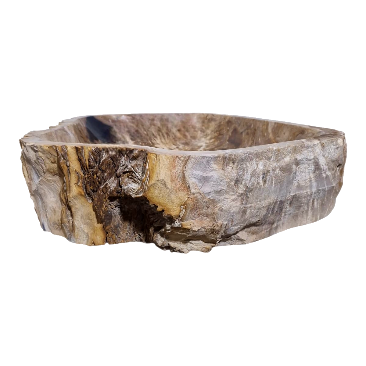 Cuba Apoio Sobrepor Pedra Natural Madeira Petrificada