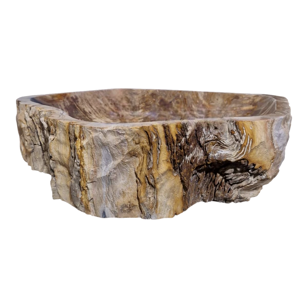 Cuba Apoio Sobrepor Pedra Natural Madeira Petrificada