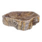 Cuba Apoio Sobrepor Pedra Natural Madeira Petrificada