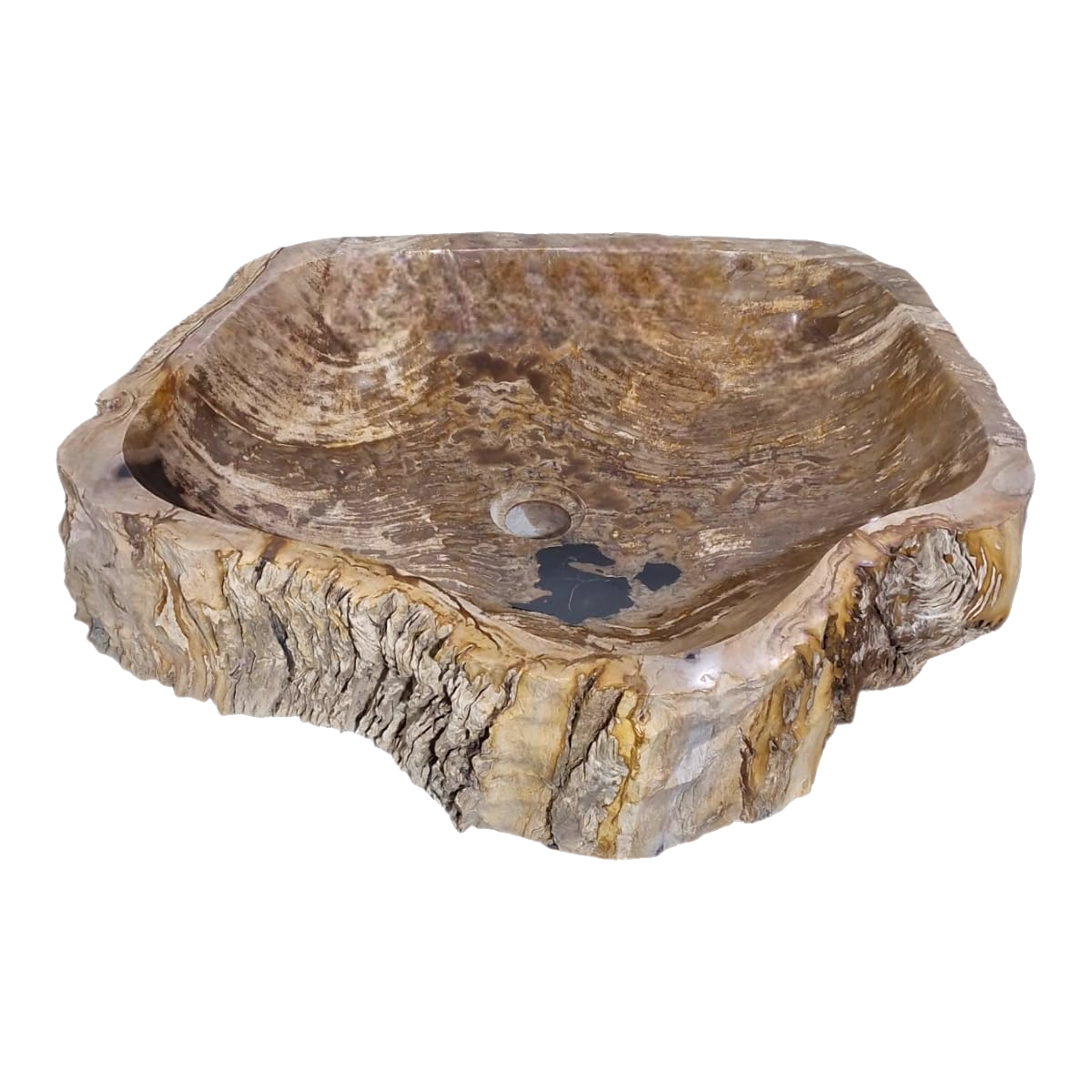 Cuba Apoio Sobrepor Pedra Natural Madeira Petrificada